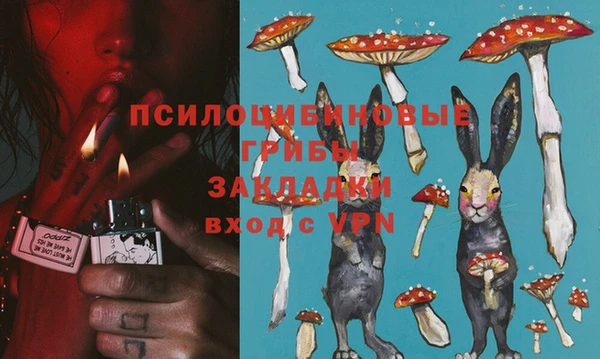 ГАЛЛЮЦИНОГЕННЫЕ ГРИБЫ Гусь-Хрустальный