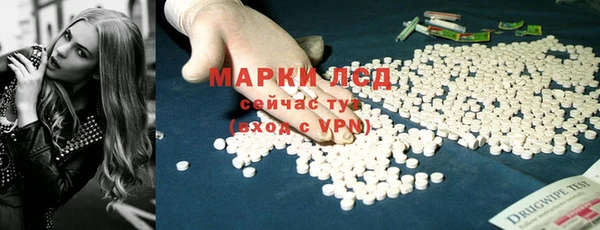 ГАЛЛЮЦИНОГЕННЫЕ ГРИБЫ Гусь-Хрустальный