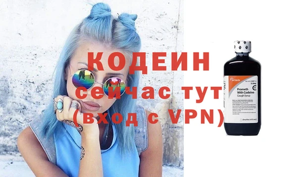 ГАЛЛЮЦИНОГЕННЫЕ ГРИБЫ Гусь-Хрустальный