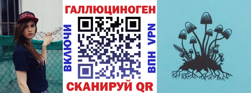 Псилоцибиновые грибы Psilocybe  Купить закладки  Темников 